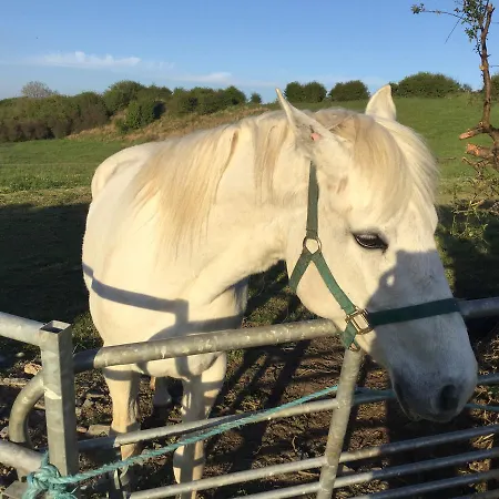 Glamping At Doon Angus Farm *