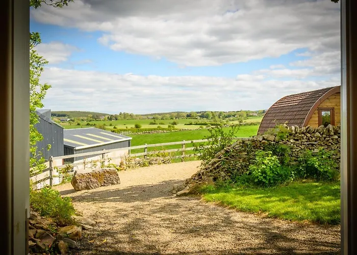 Glamping At Doon Angus Farm *