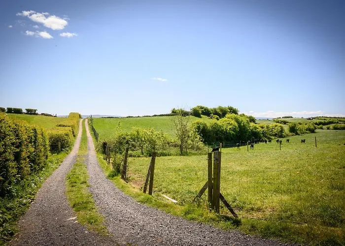 Glamping At Doon Angus Farm