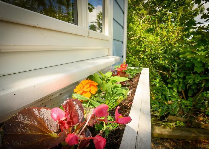 Glamping At Doon Angus Farm Westport