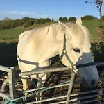 Glamping At Doon Angus Farm *